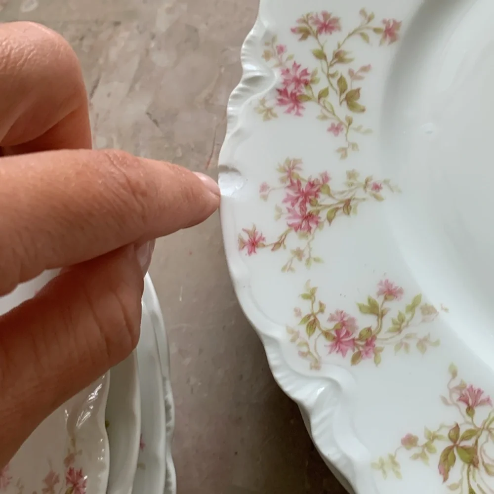 6 Vintage HAVILAND LIMOGES‎ France Fine China Pink FLOWERS 9 1/2